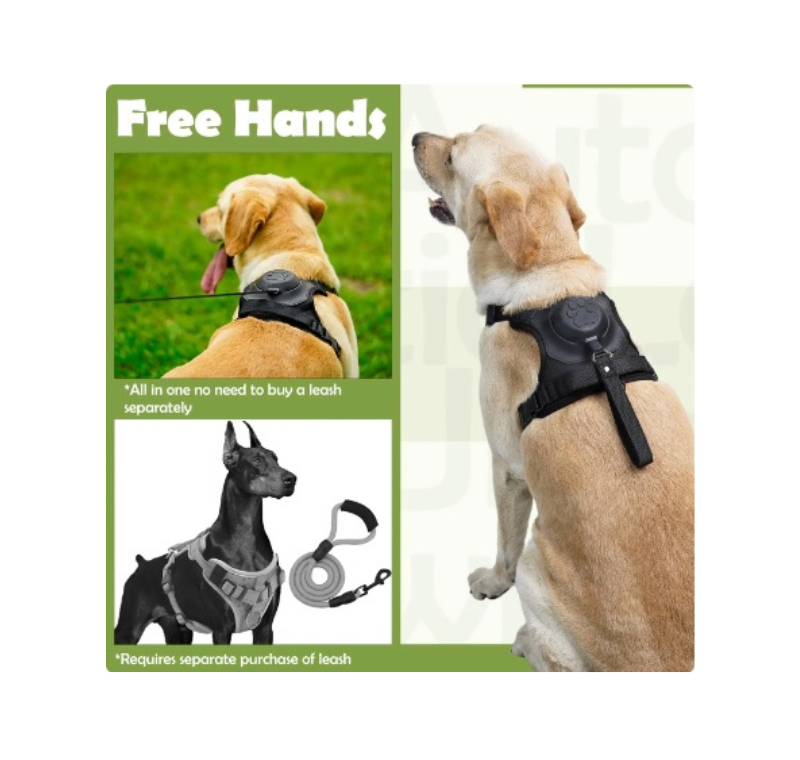 Pet Harness with Retractable Leash