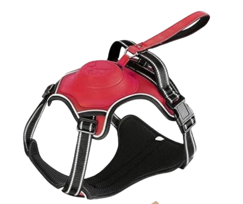 Pet Harness with Retractable Leash