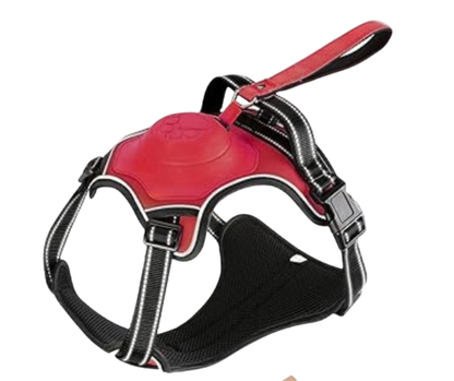 Pet Harness with Retractable Leash