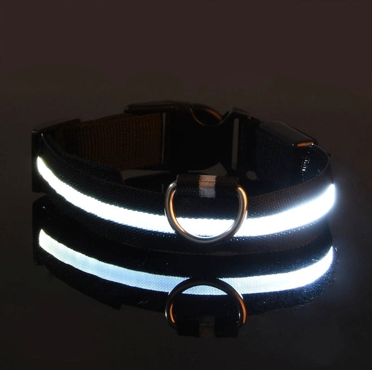 Luminous Safety LED Pet Collar