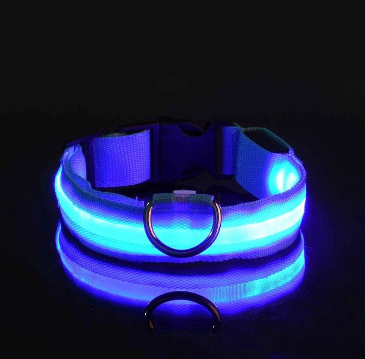 Luminous Safety LED Pet Collar