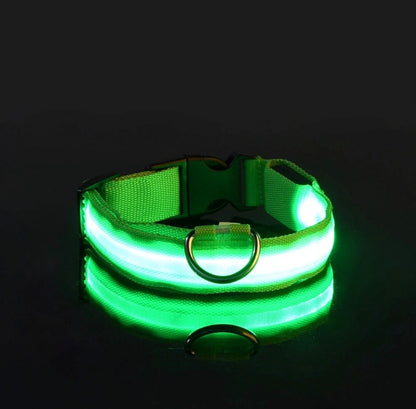 Luminous Safety LED Pet Collar