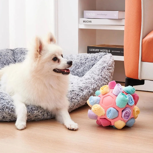 Pet Sniffing Puzzle Toy