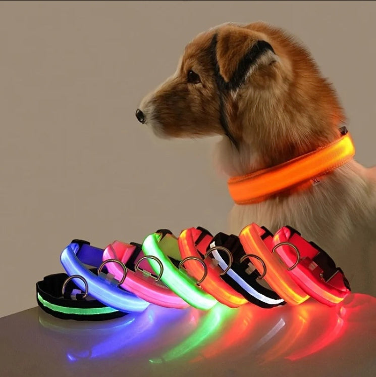 Luminous Safety LED Pet Collar