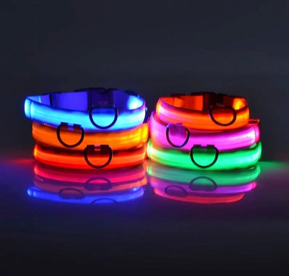 Luminous Safety LED Pet Collar