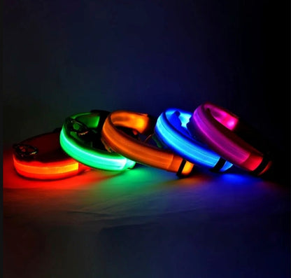 Luminous Safety LED Pet Collar