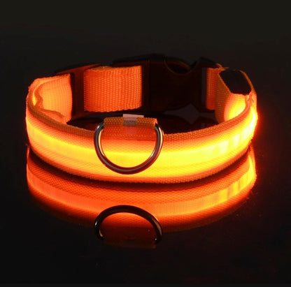 Luminous Safety LED Pet Collar