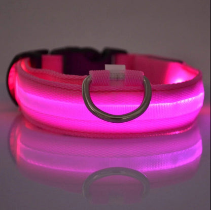 Luminous Safety LED Pet Collar