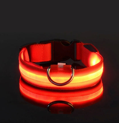 Luminous Safety LED Pet Collar