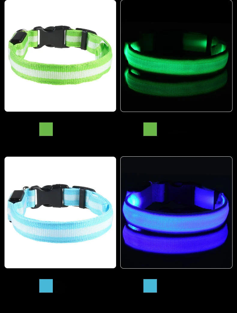 Luminous Safety LED Pet Collar