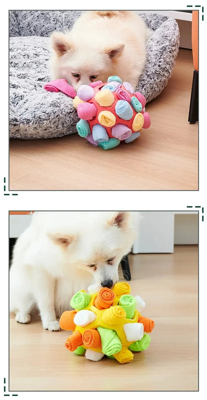 Pet Sniffing Puzzle Toy