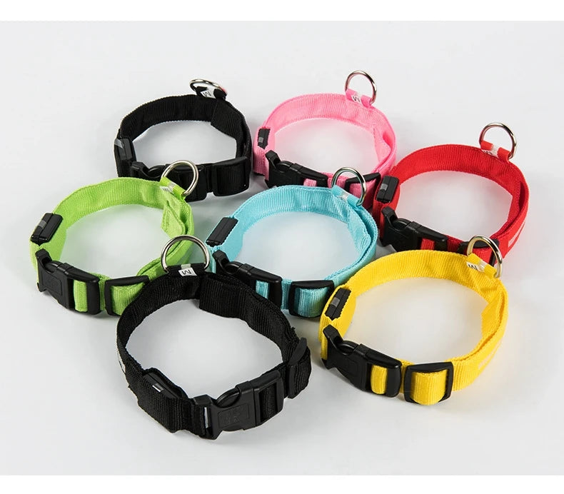 Luminous Safety LED Pet Collar