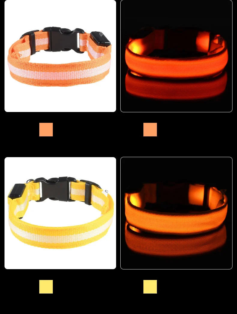 Luminous Safety LED Pet Collar