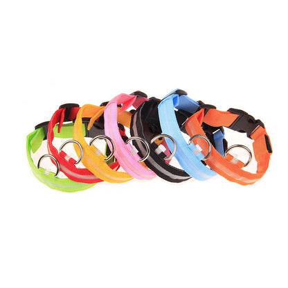 Luminous Safety LED Pet Collar