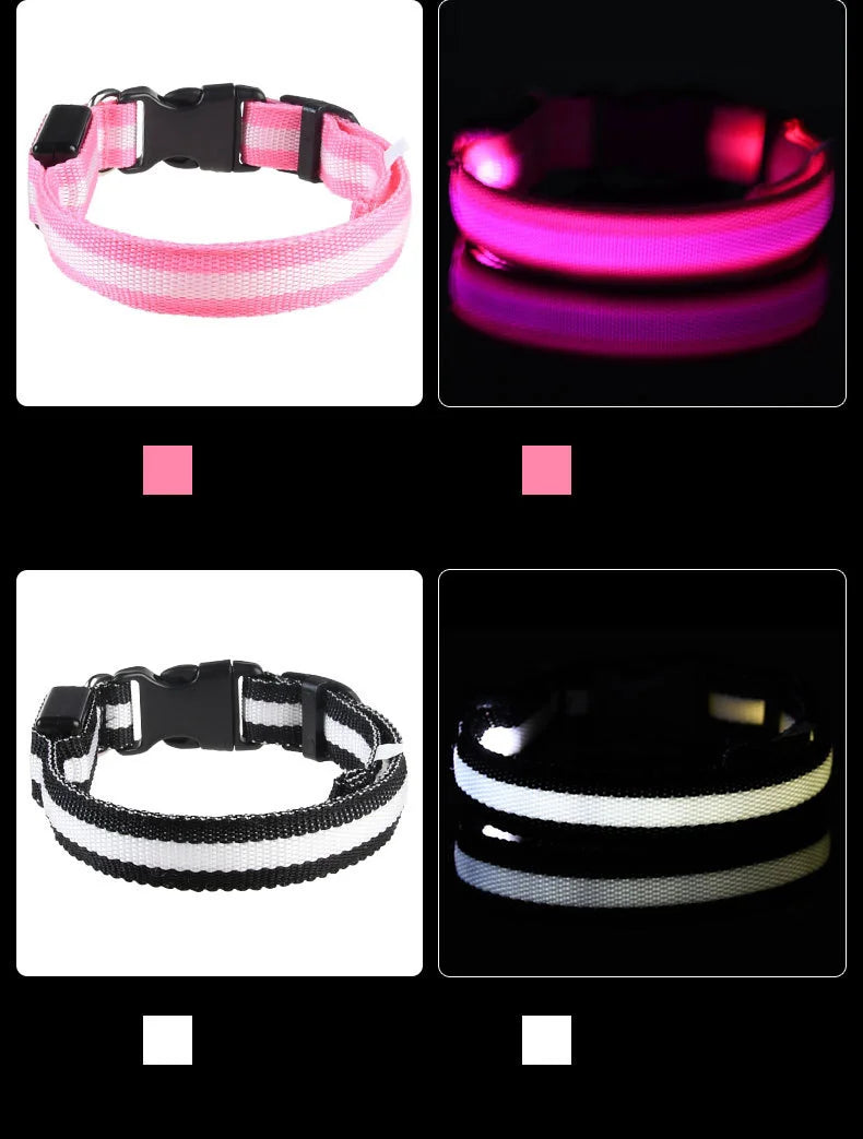 Luminous Safety LED Pet Collar