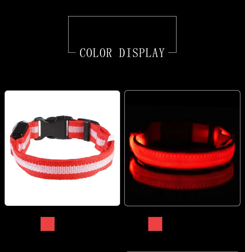 Luminous Safety LED Pet Collar