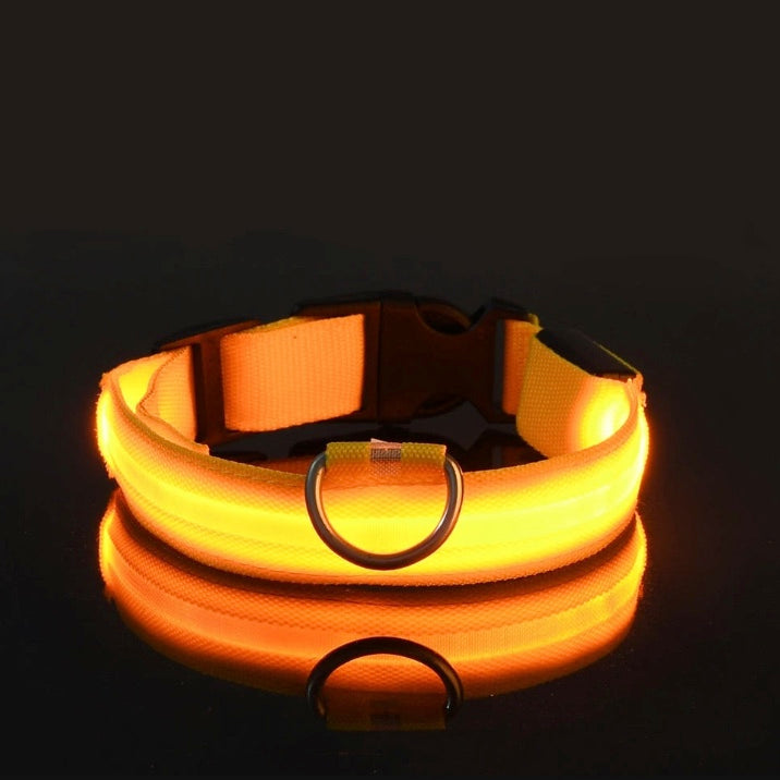 Luminous Safety LED Pet Collar